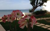 Туры в отель Hermes Beach Front
