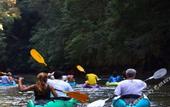 Туры в отель Naga Peak Resort