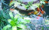 Туры в отель Stay With Me Guesthouse