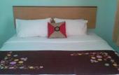 Туры в отель Rose Inn Motel
