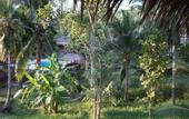 Туры в отель Shiralea Island Resort