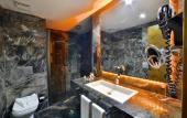 Туры в отель Zimmer Bosphorus Hotel - Special Class Hotel