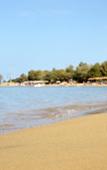 Туры в отель Iolkos Hotel