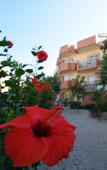 Туры в отель Iolkos Hotel