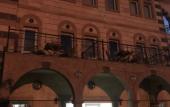 Туры в отель Pashabelle Hotel