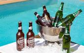 Туры в отель Siriusmi hotel