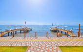 Туры в отель Palace Hotel Olive Odore