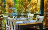 Туры в отель Palace Hotel Olive Odore