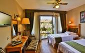 Туры в отель Palace Hotel Olive Odore