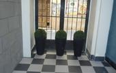 Туры в отель Apuntadores 8
