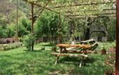 Туры в отель Camlik Pansiyon - Adults Only (16+)