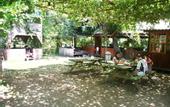 Туры в отель Camlik Pansiyon - Adults Only (16+)
