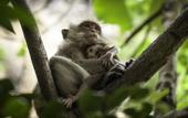 Туры в отель Railay Garden View Resort