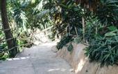 Туры в отель Railay Garden View Resort