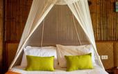 Туры в отель Railay Garden View Resort