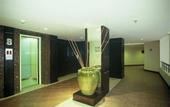 Туры в отель Gardengrove Suites