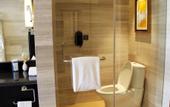 Туры в отель DoubleTree by Hilton Hotel Shenyang