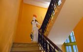 Туры в отель Zeus Hostel
