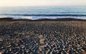 Туры в отель Katerina Seaside Studios