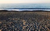 Туры в отель Katerina Seaside Studios