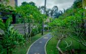 Туры в отель Alas Petulu Cottages