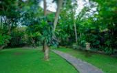 Туры в отель Alas Petulu Cottages