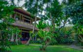Туры в отель Alas Petulu Cottages