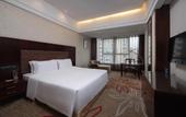 Туры в отель Grand Skylight Garden Hotel Shenzhen