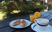 Туры в отель Bungalows Park Albufera