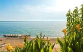 Туры в отель Troas Beach Hotel