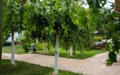 Туры в отель Troas Beach Hotel