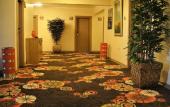 Туры в отель Hotel Mithat