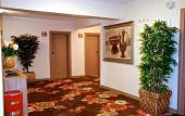 Туры в отель Hotel Mithat