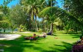 Туры в отель Siam Royal View Apartments