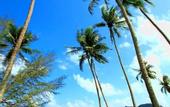 Туры в отель Siam Royal View Apartments