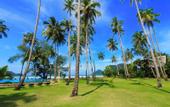 Туры в отель Siam Royal View Apartments
