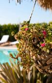 Туры в отель Sade Alacati Hotel