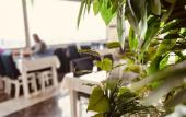 Туры в отель Grand Heykel Hotel