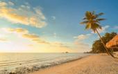 Туры в отель Tuk Tuk Guesthouse Koh Chang