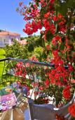 Туры в отель Kiraz Otel