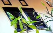Туры в отель Latugu Homestay Ubud
