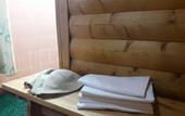 Туры в отель Korovnitskaya Sloboda Hotel