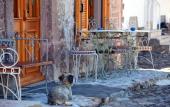 Туры в отель Fragrante Hotel