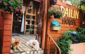 Туры в отель Pailin Guest House