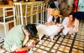 Туры в отель Pailin Guest House