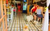 Туры в отель Pailin Guest House