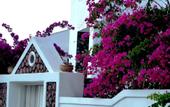 Туры в отель Atalos Suites