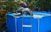 Туры в отель Leto Vsem Guest House