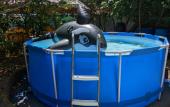 Туры в отель Leto Vsem Guest House