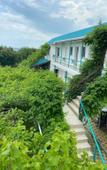 Туры в отель Leto Vsem Guest House